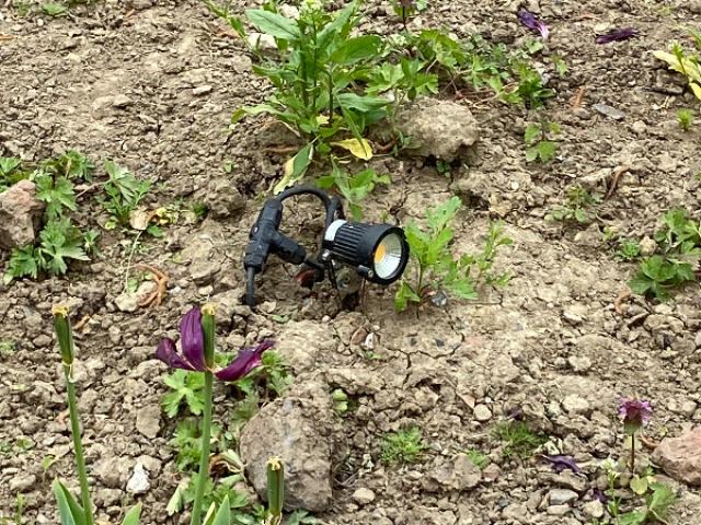 Installation d'un éclairage extérieur de jardin à Laventie