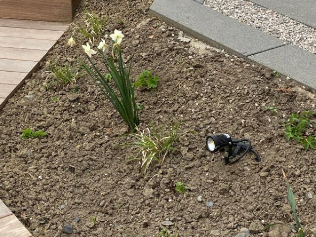 Installation d'un éclairage extérieur de jardin à Laventie